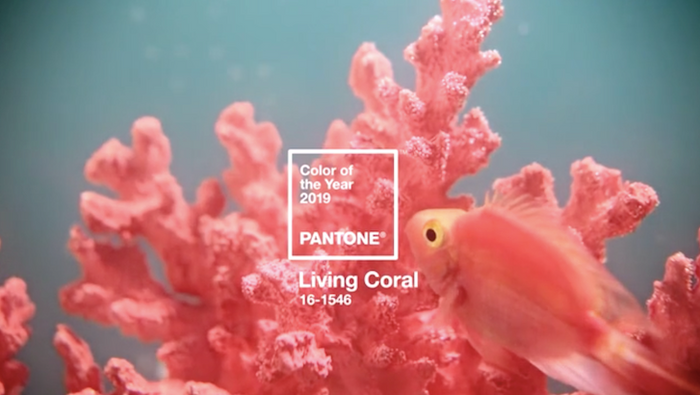 ANNOUNCING THE PANTONE COLOR OF THE YEAR 2019