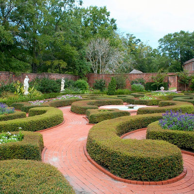 Inchbald Garden Design Course