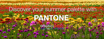 Pantone Fan Guides