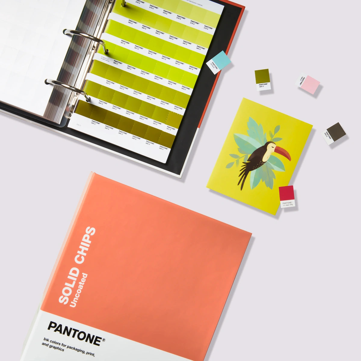 Pantone Solid Chips Guide Set GP1606B — Graphics Direct