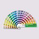 Color Bridge Coated Pantone Fan Guide